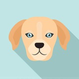 天王项目DOGT火爆来袭/ NPA中文社区/ NPA中文社区