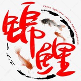 锦鲤工作室【卡卷回收🇨🇳中石化油卡】