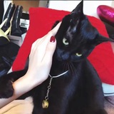 CPA/CPS跑路狗曝光群