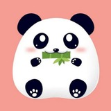 花颜Pro通知群