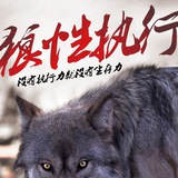 万孚生物3成仓操作中
