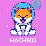 Hachiko BSC (Price Discussion)