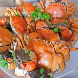 百度美食大全