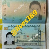 手持身份证&护照&驾照&回乡证&ssn