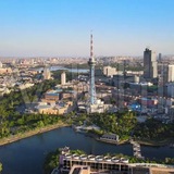 长春名媛楼凤交流群