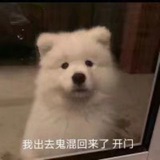 王者和平辅助交流