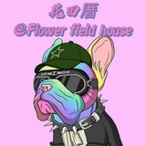 花田厝@Flower field house