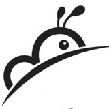 蚂蚁云流量