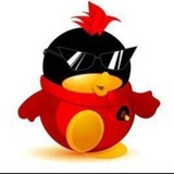 QQqq【小哥】