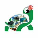 菲律宾|海龟先生旅行社签证机票清关续签工作证明交流群