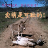 企业微信🐤🙂微信公众号出售