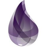 Elixir 编程语言中文