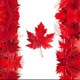 加拿大华人投资生活群