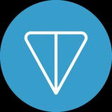 TON 中文