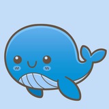 禁昆明外围☘️☘️☘️☘️☘️☘️☘️☘️