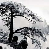 QQqq解封【清风】