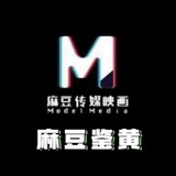 🌸麻豆丝袜🌸
