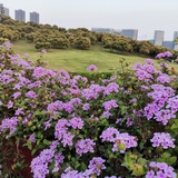 HR菲律宾招人联盟