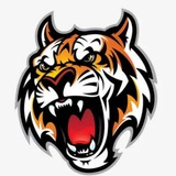 🐅拉手🐅