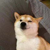 🔥黑马云控官方客服群🔥微信云控🐎🐎🐎