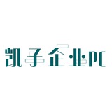 企业群码 稳定 质量码(奇宝工作室)