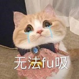 泡泡Dog