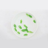 春江 Harue woo(Channel)✍