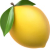 (*/🍋ω🍋\*) NSFW注意 🍋酱的奇怪x癖小h图收集频道