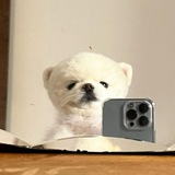抖音 快手花椒网红小奶猫小可爱斗鱼虎牙福利姬微博推特