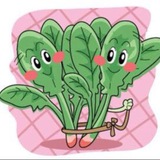 菲律宾外卖服饰烟草