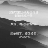 推码交流群