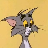 汤姆猫甩甩群