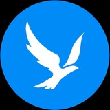 Bwitter官方中文电报二群