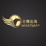 📌海外项目交流群【老鹰出海】