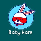 💎BabyHare宝贝兔🐰中文群