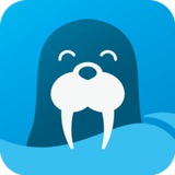 海象出海翻译计数器