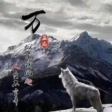 猫头鹰查档,专业个人信息,定位,开房记录,微信,QQ,业务齐全
