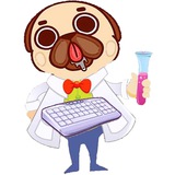 ScientistDogCommunity 科学家狗币共识社区