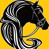 三方 体育 网赚 指定数据 DPI 电销数据 博彩资讯