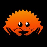 rust.cc社区深(摸)水(鱼)群