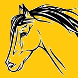 DPI 体育外围 棋牌 全格式 APP数据 数据资源