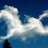担保☁️浮云指定13群☁️认准浮云