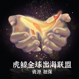 虎鲸全球出海联盟[印度/巴西/墨西哥/尼日尼亚/日本/韩国/迪拜/泰国/柬埔寨]