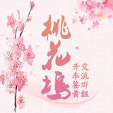 🌸桃花坞🌸鉴黄开车