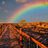 彩虹街机🌈【转账生成器】