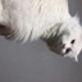 ViceGo科技分享-频道