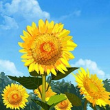 ［伍亿工作室］💰企业微信💰企业QQ💰企业支付宝💰