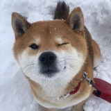 天众会流量资源社群