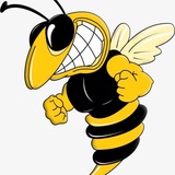 🐝TG全网🔞A片精选