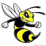 🐝大黄蜂搜片群